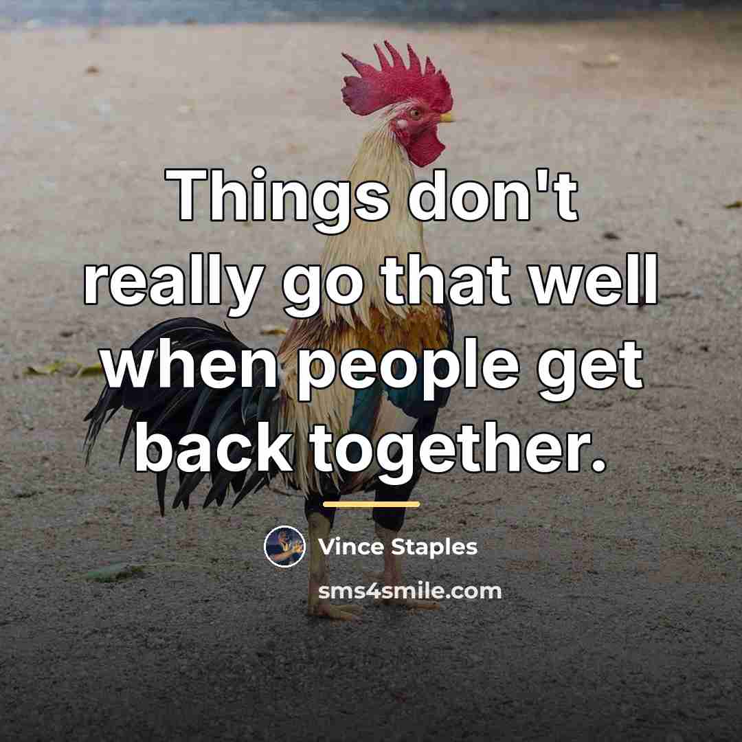 “Things don't really go that well when people get back…” quote by Vince Staples