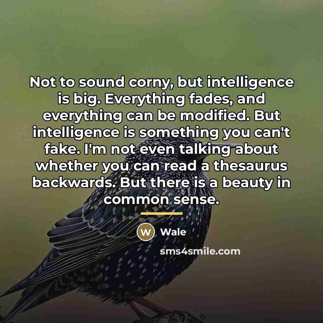 “Not to sound corny, but intelligence is big. Everything fades,…” quote by Wale