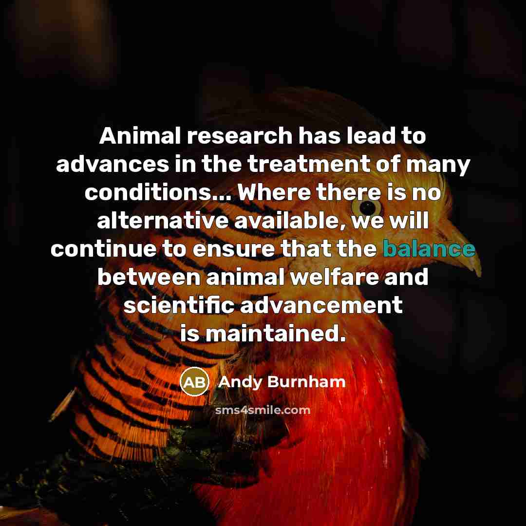 “Animal research has lead to advances in the treatment of…” quote by Andy Burnham