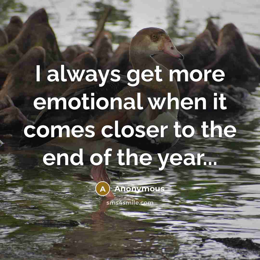 “I always get more emotional when it comes closer to the end of the year...” quote by Anonymous