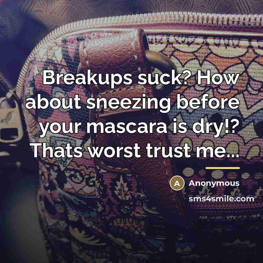 “Breakups suck? How about sneezing before your mascara is dry!?…” quote by Anonymous