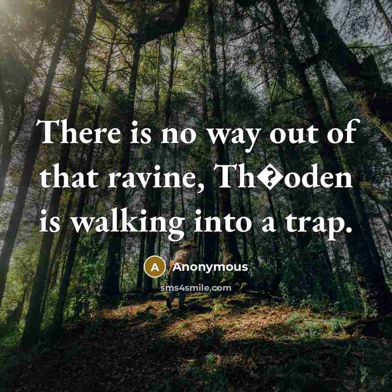“There is no way out of that ravine, Th�oden is walking into a trap.” quote by Anonymous