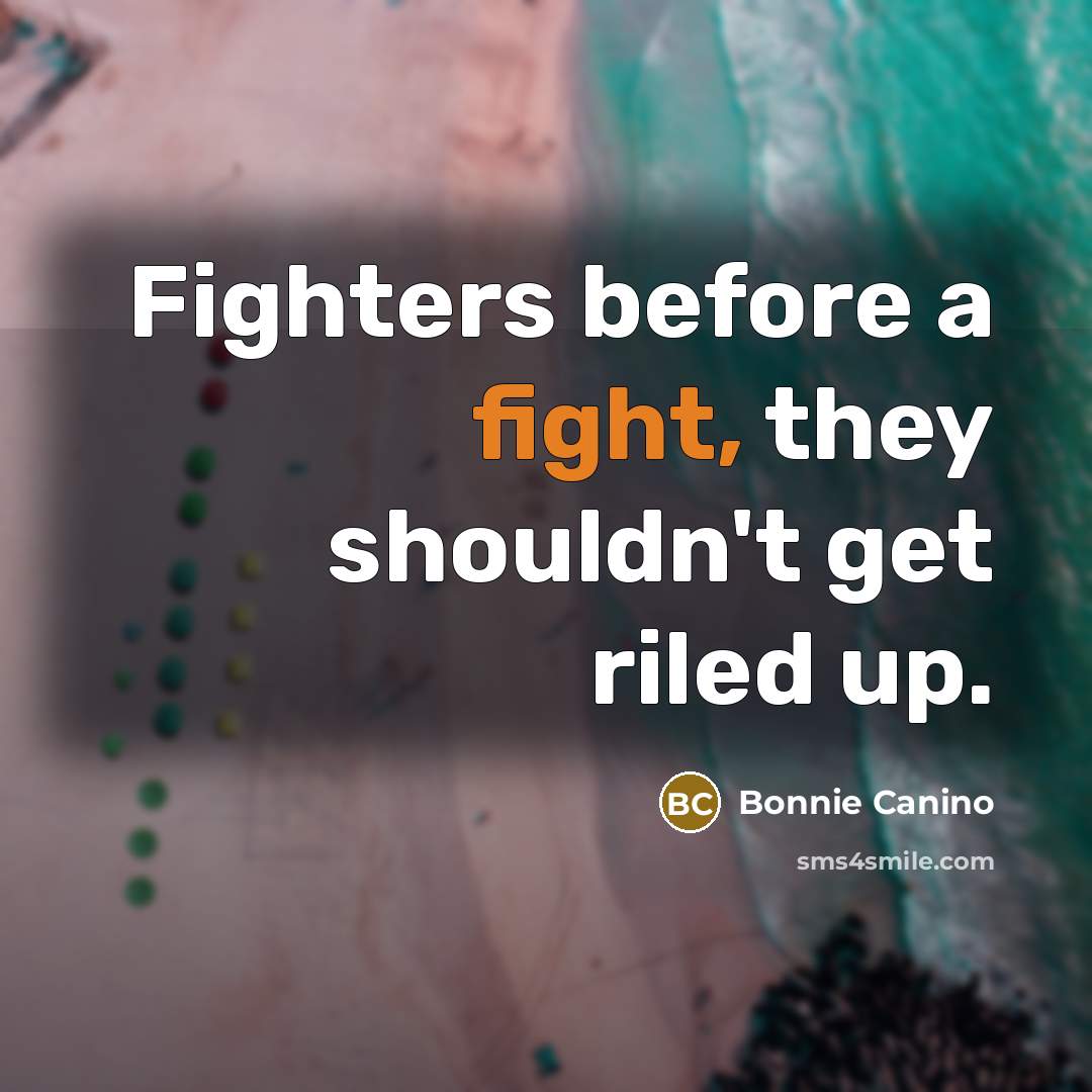 “Fighters before a fight, they shouldn't get riled up.…” quote by Bonnie Canino
