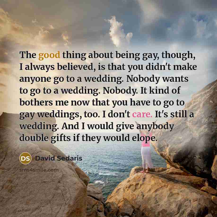 “The good thing about being gay, though, I always believed,…” quote by David Sedaris