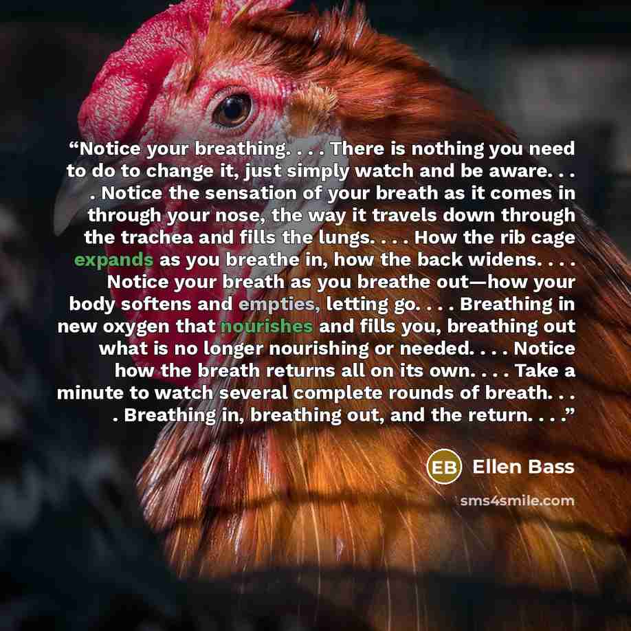 “Notice your breathing. . . . There is nothing you need to do to change it, just simply watch and be aware. . . . Notice the sensation of your breath as it comes in through your nose, the way it travels down through the trachea and fills the lungs. . . . How the rib cage expands as you breathe in…” quote by Ellen Bass