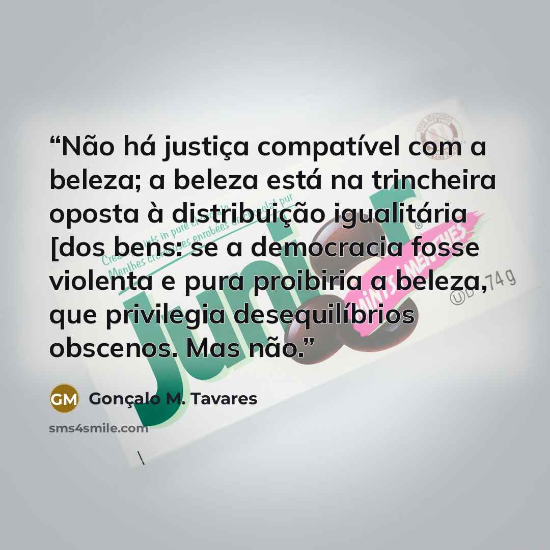 “Não há justiça compatível com a beleza; a beleza está na trincheira oposta à distribuição igualitária [dos bens: se a democracia fosse violenta e pura proibiria a beleza, que privilegia desequilíbrios obscenos. Mas não.” quote by Gonçalo M. Tavares