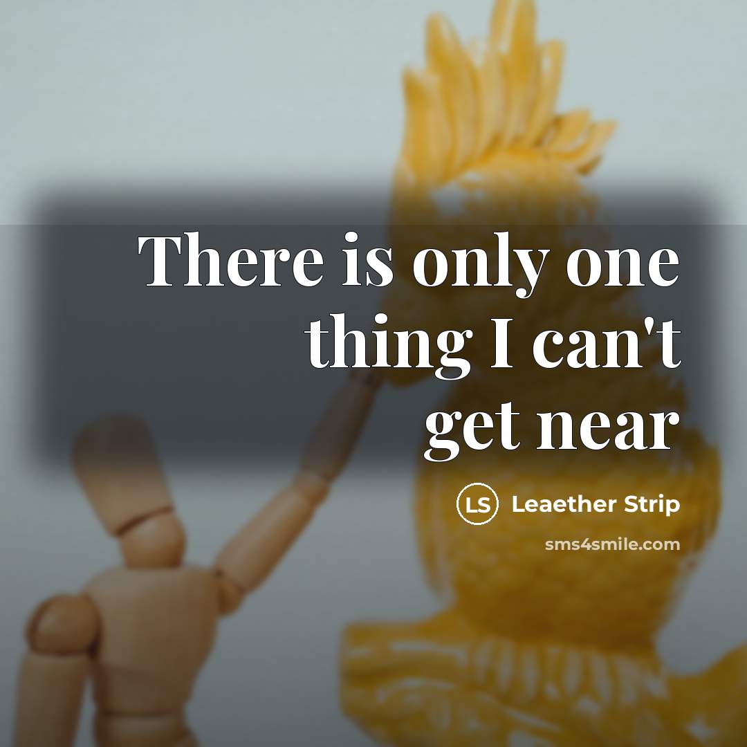 “There is only one thing I can't get near…” quote by Leaether Strip