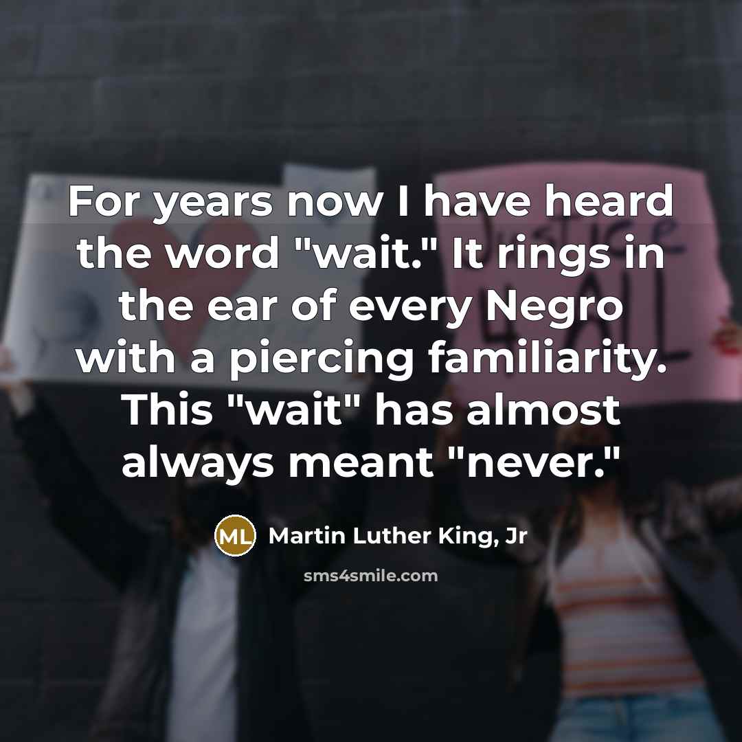 “For years now I have heard the word "wait." It…” quote by Martin Luther King, Jr