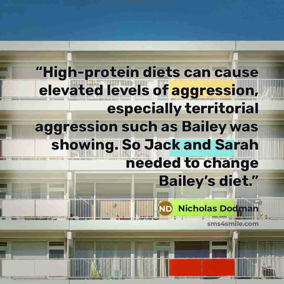 “High-protein diets can cause elevated levels of aggression, especially territorial aggression such as Bailey was showing. So Jack and Sarah needed to change Bailey’s diet.” quote by Nicholas Dodman