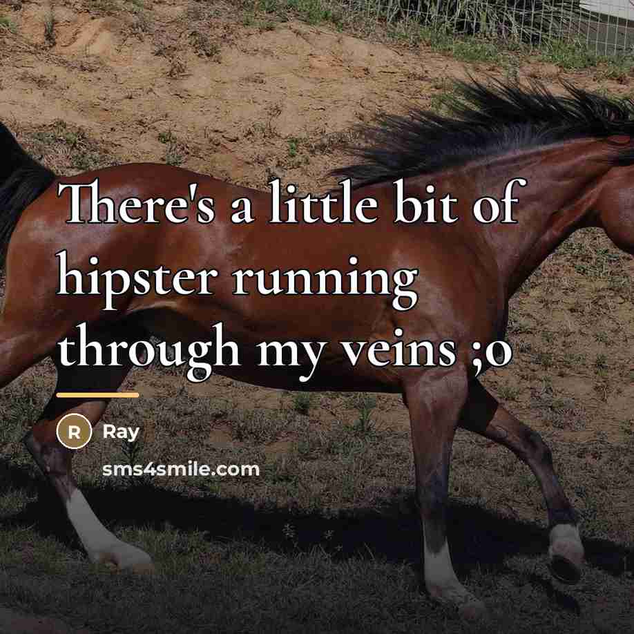 “There's a little bit of hipster running through my veins…” quote by Ray