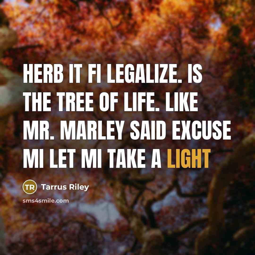 “Herb it fi legalize. Is the tree of life. Like Mr. Marley said excuse mi let mi take a light” quote by Tarrus Riley