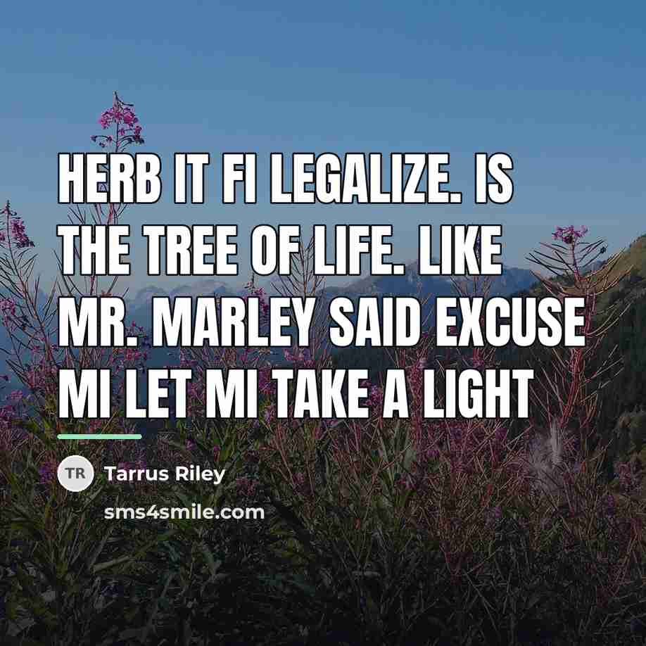 “Herb it fi legalize. Is the tree of life. Like…” quote by Tarrus Riley