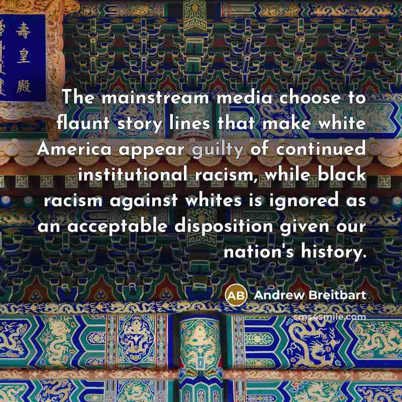 “The mainstream media choose to flaunt story lines that make…” quote by Andrew Breitbart