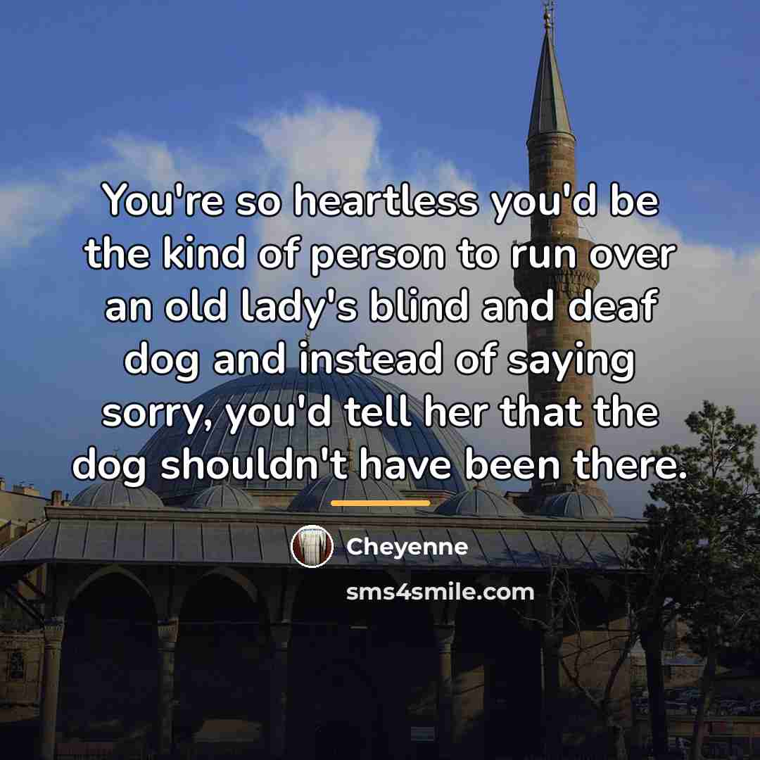 “You're so heartless you'd be the kind of person to…” quote by Cheyenne