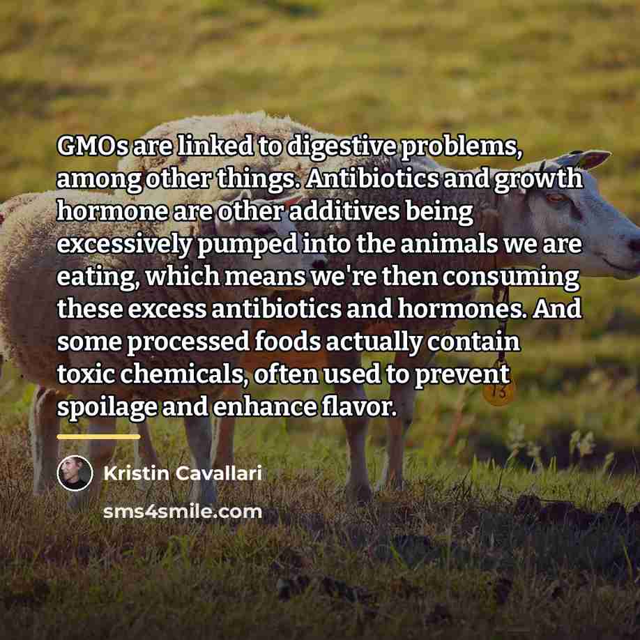 “GMOs are linked to digestive problems, among other things. Antibiotics…” quote by Kristin Cavallari