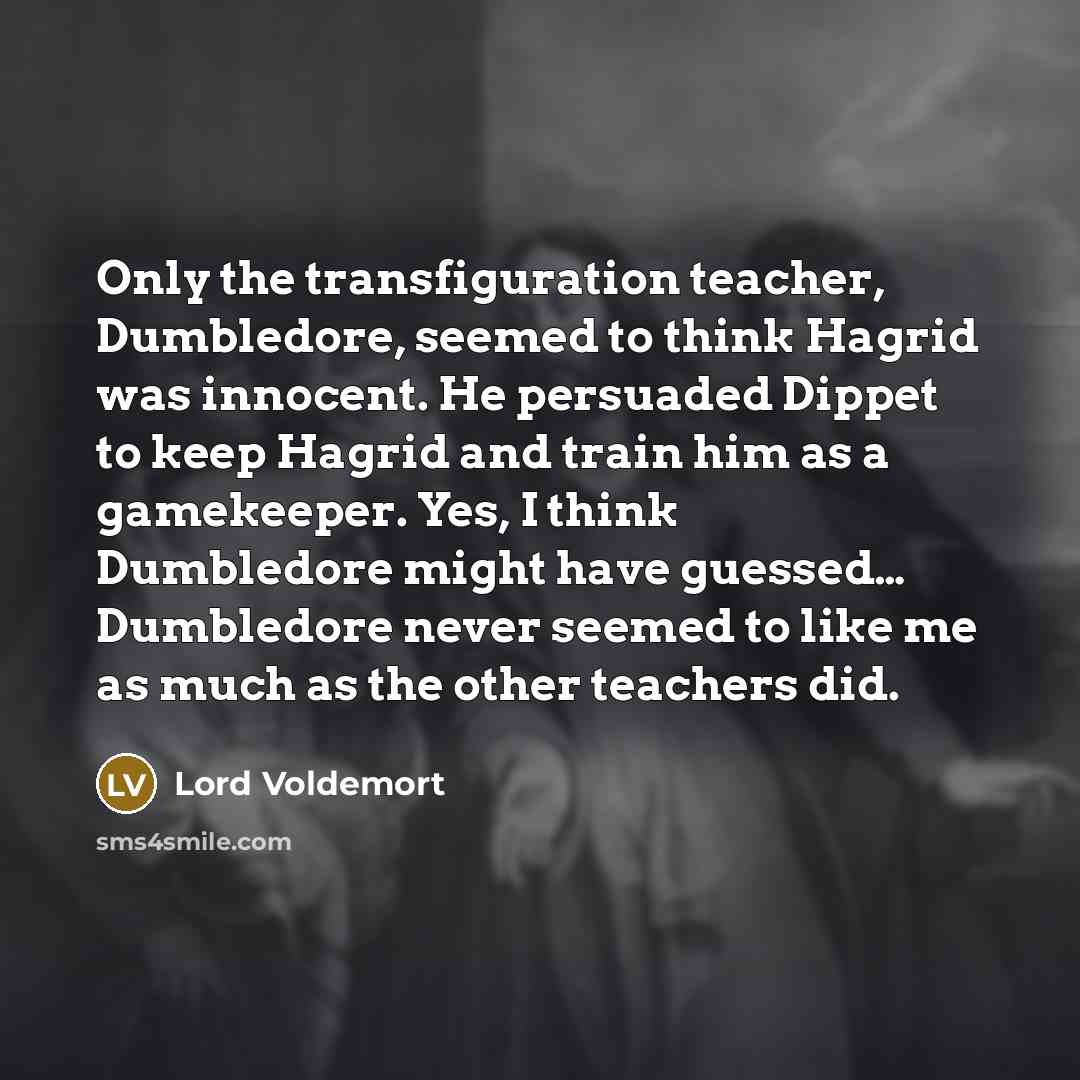 “Only the transfiguration teacher, Dumbledore, seemed to think Hagrid was innocent. He persuaded Dippet to keep Hagrid and train him as a gamekeeper. Yes, I think Dumbledore might have guessed… Dumbledore never seemed to like me as much as the other teachers did.” quote by Lord Voldemort