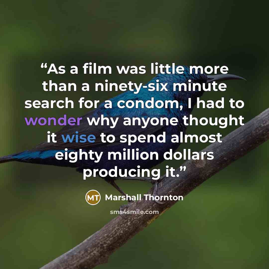 “As a film was little more than a ninety-six minute search for a condom, I had to wonder why anyone thought it wise to spend almost eighty million dollars producing it.” quote by Marshall Thornton