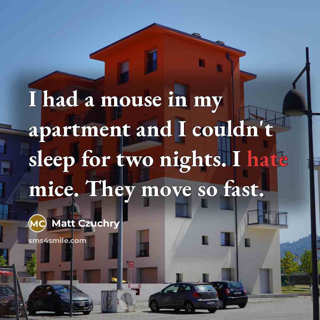 “I had a mouse in my apartment and I couldn't…” quote by Matt Czuchry