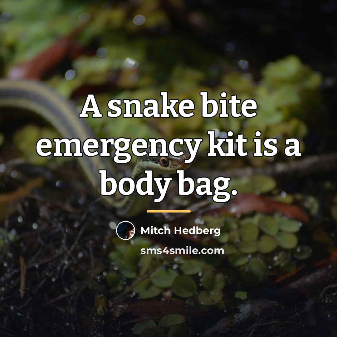 “A snake bite emergency kit is a body bag.…” quote by Mitch Hedberg