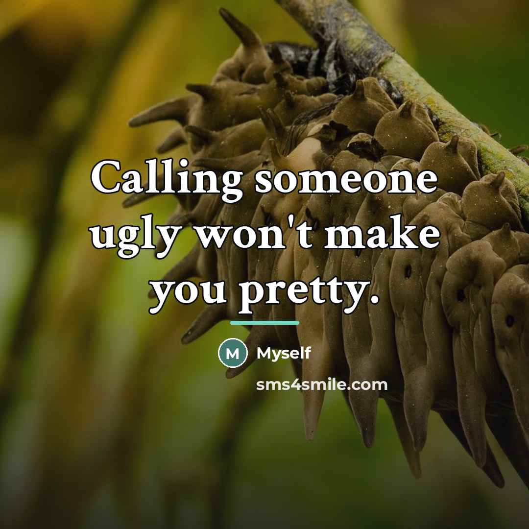 “Calling someone ugly won't make you pretty.…” quote by Myself