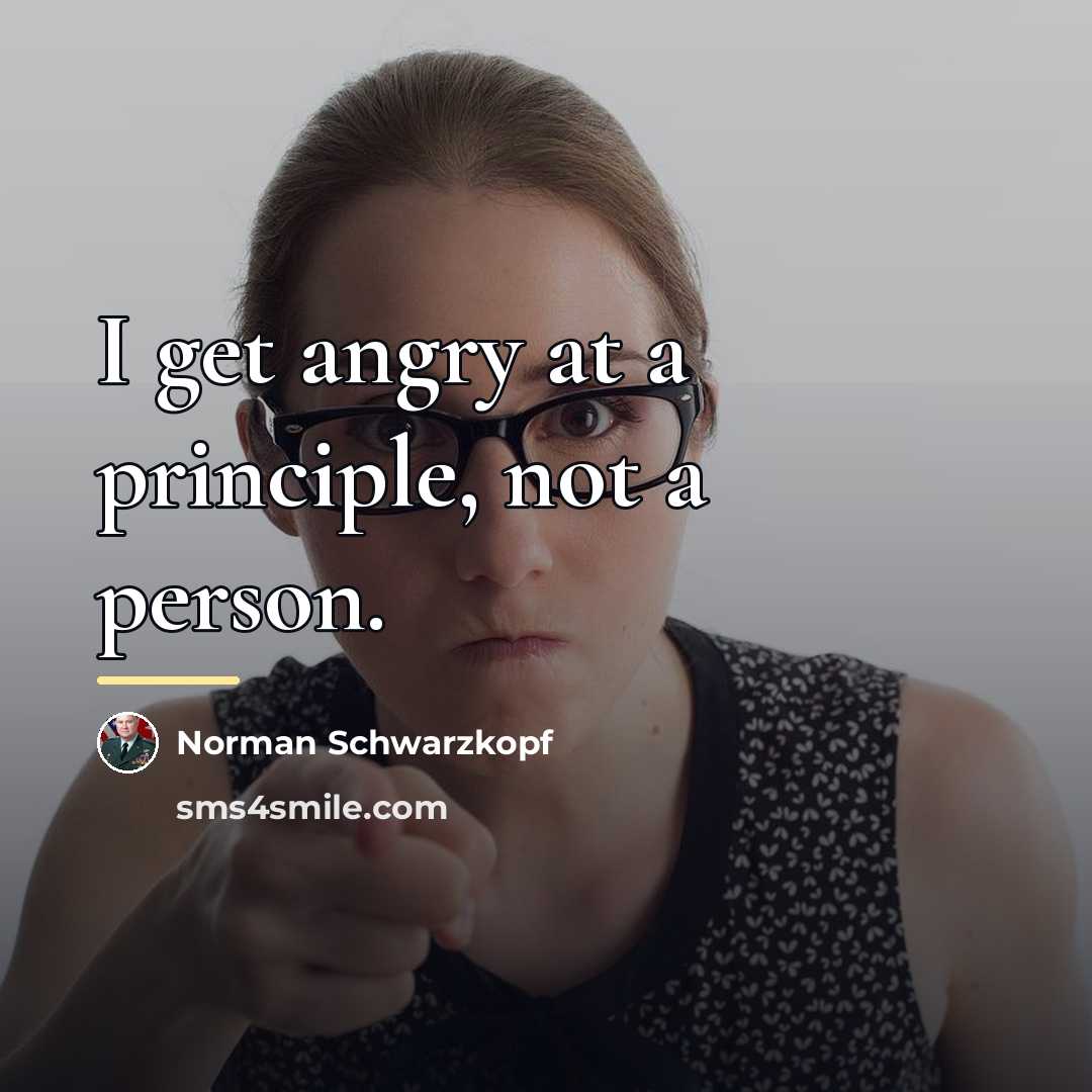 “I get angry at a principle, not a person.…” quote by Norman Schwarzkopf