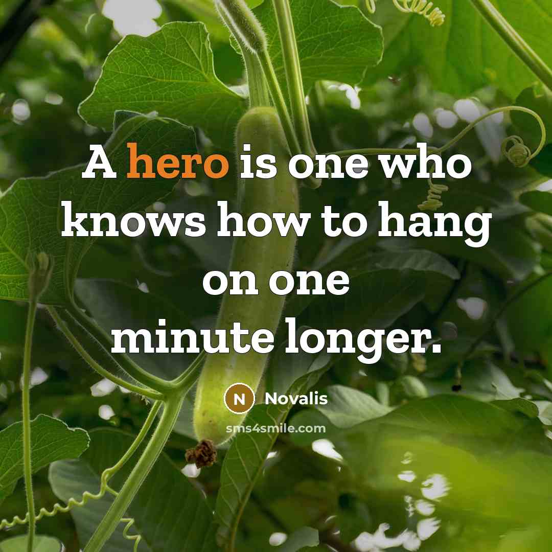“A hero is one who knows how to hang on…” quote by Novalis