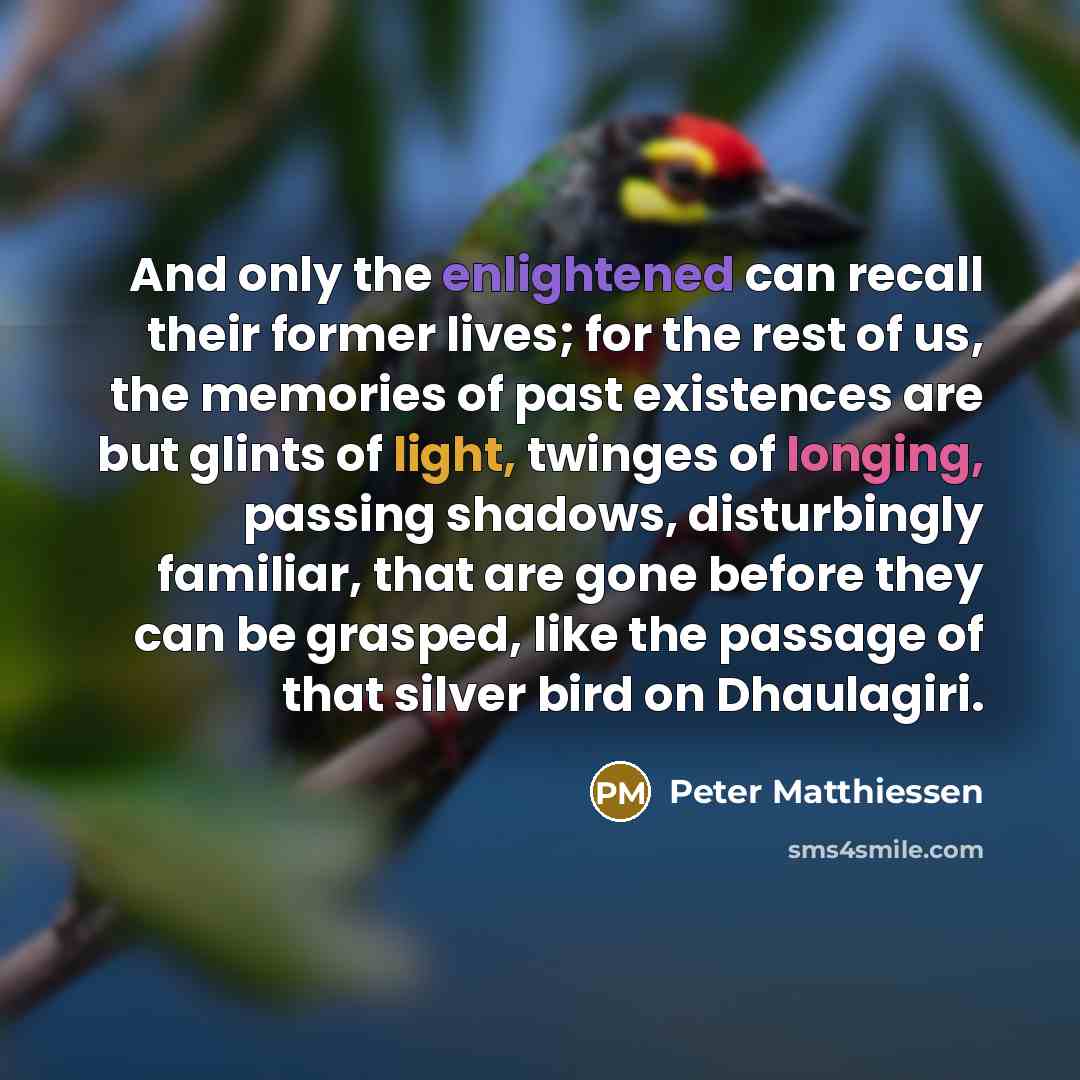 “And only the enlightened can recall their former lives; for…” quote by Peter Matthiessen