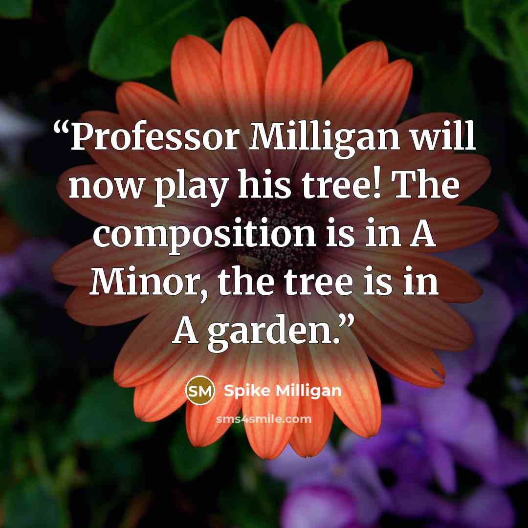 “Professor Milligan will now play his tree! The composition is in A Minor, the tree is in A garden.” quote by Spike Milligan