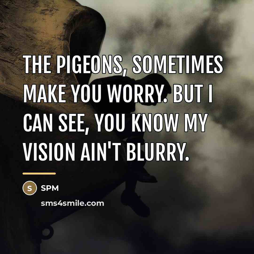 “The pigeons, sometimes make you worry. But I can see,…” quote by SPM