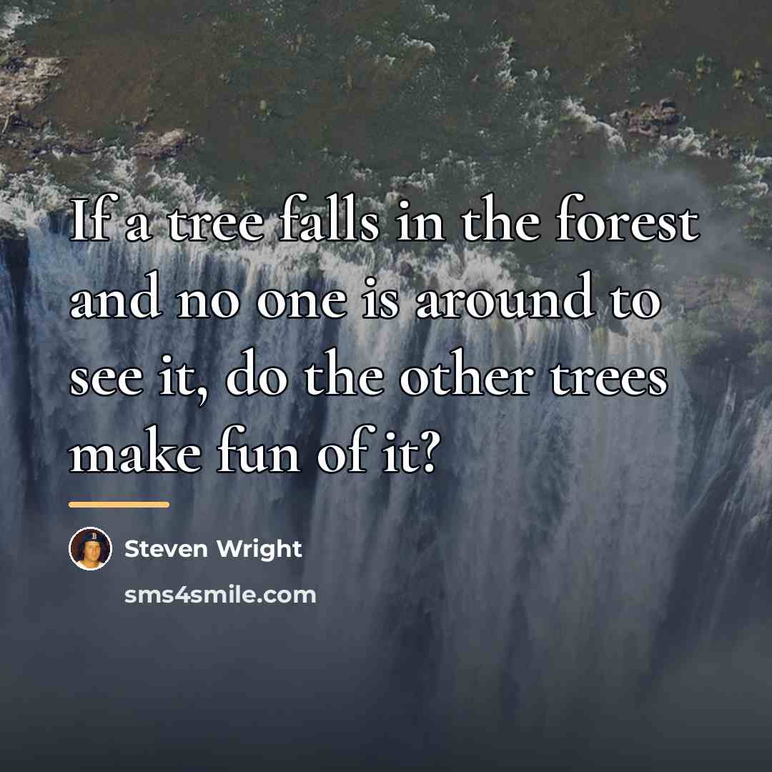 “If a tree falls in the forest and no one…” quote by Steven Wright