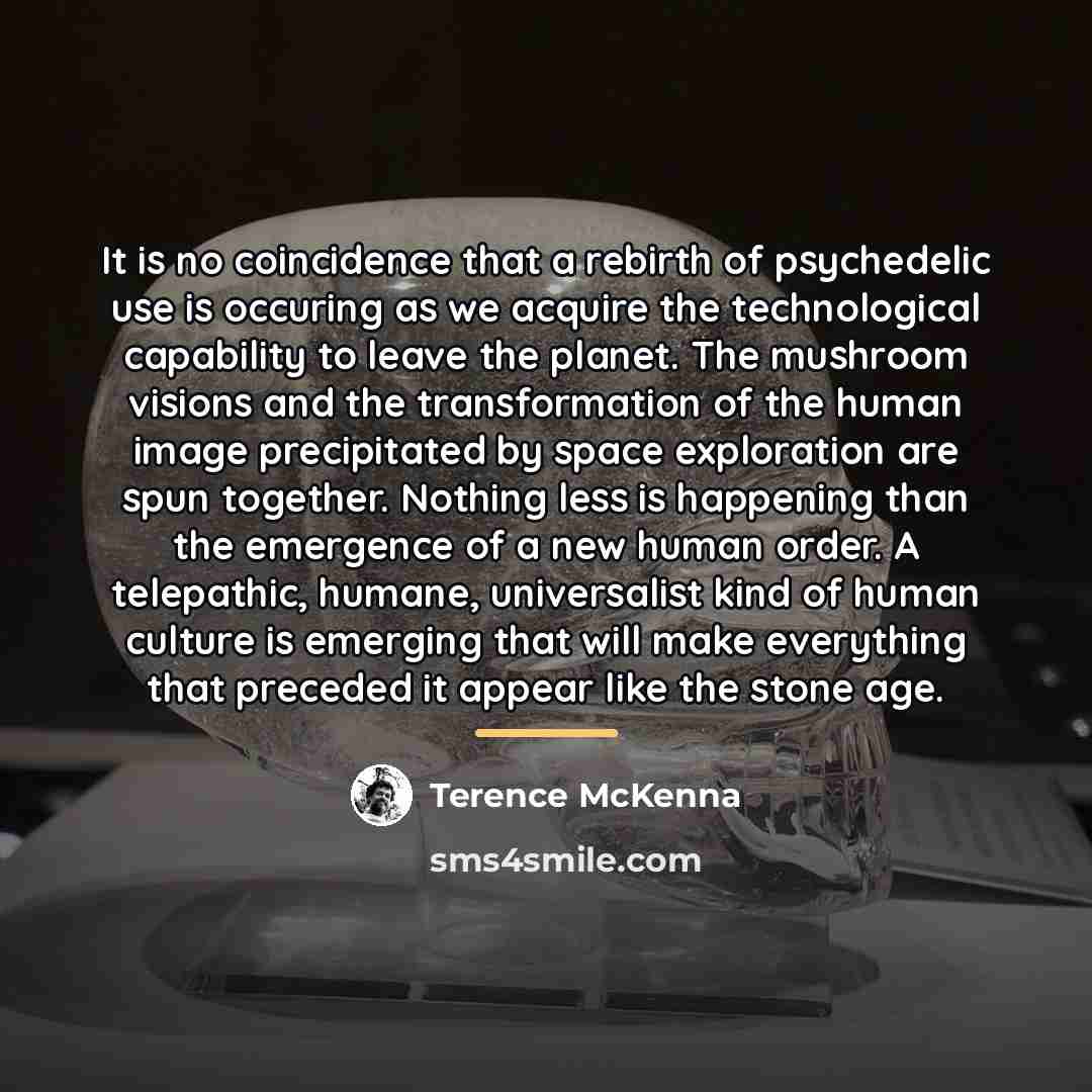 “It is no coincidence that a rebirth of psychedelic use…” quote by Terence McKenna