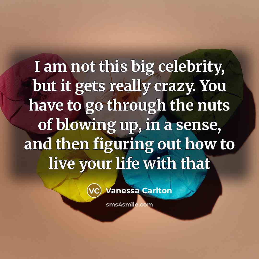 “I am not this big celebrity, but it gets really…” quote by Vanessa Carlton