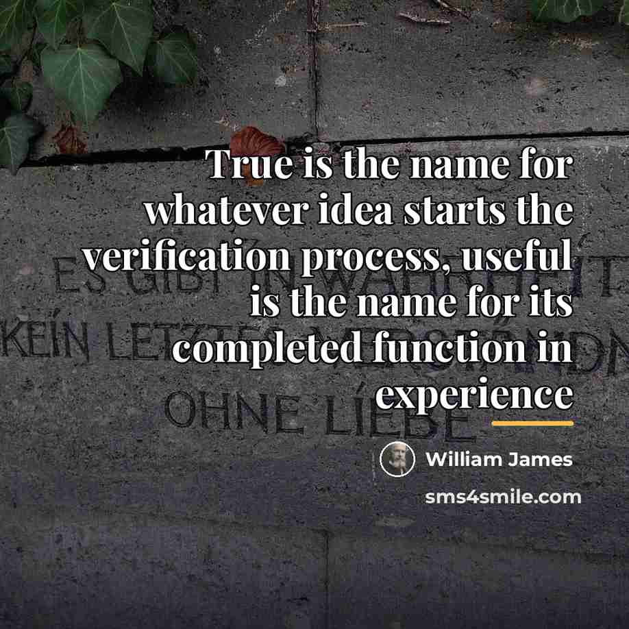 “True is the name for whatever idea starts the verification…” quote by William James