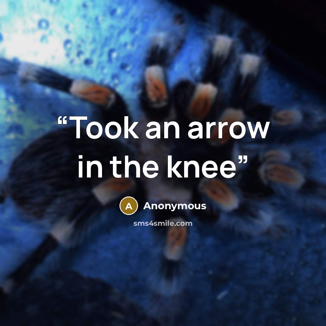 “Took an arrow in the knee” quote by Anonymous