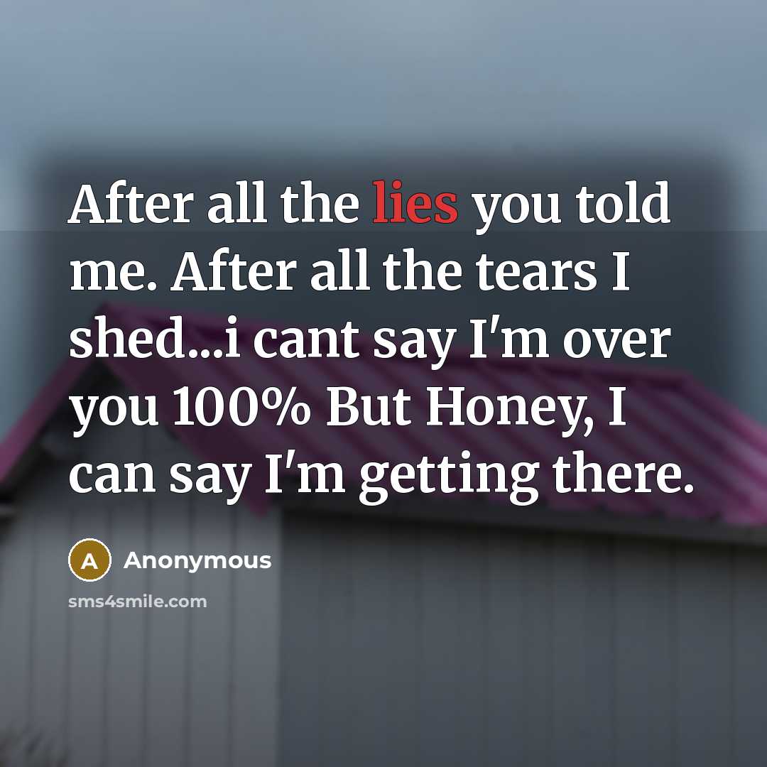 “After all the lies you told me. After all the…” quote by Anonymous