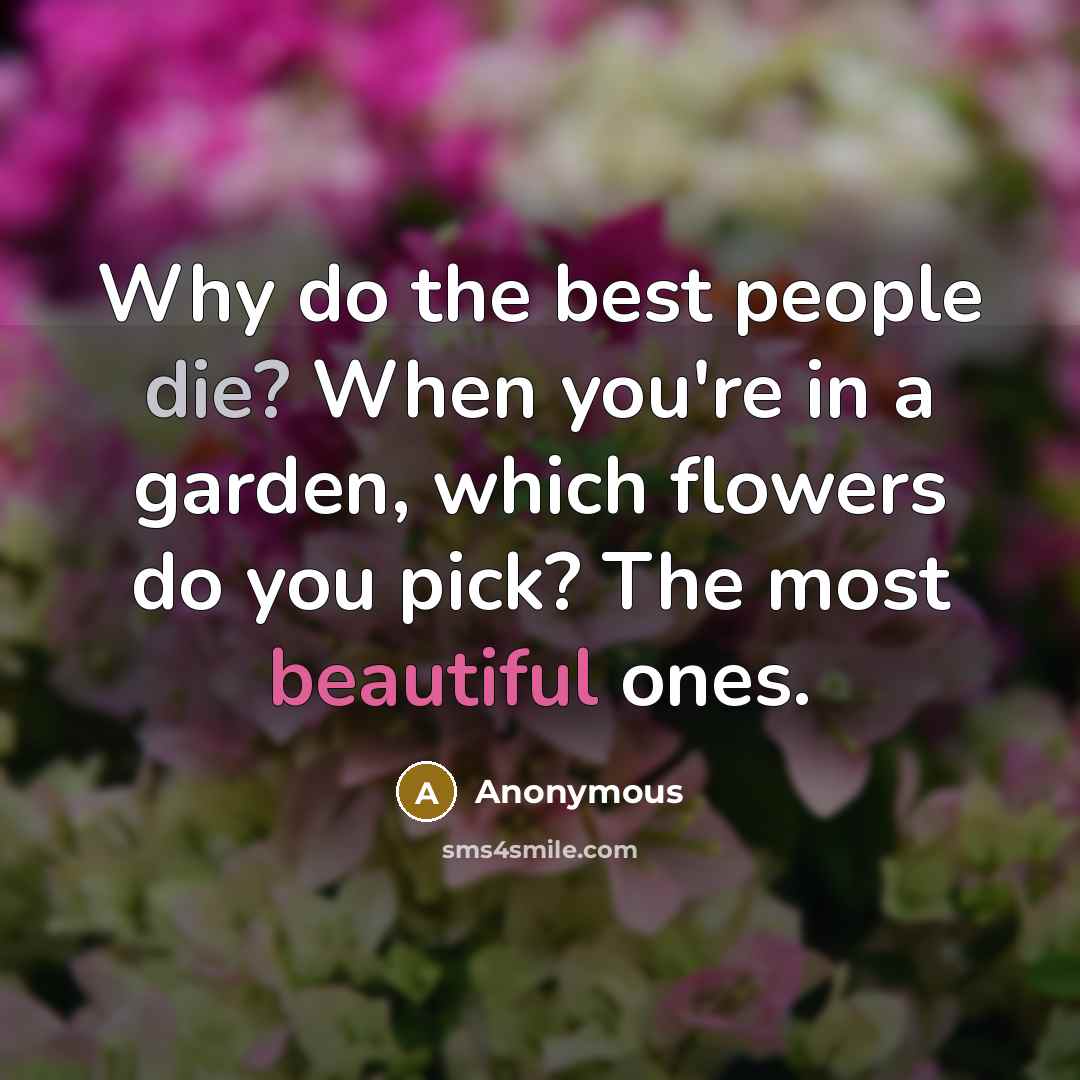 “Why do the best people die? When you're in a garden, which flowers do you pick? The most beautiful ones.” quote by Anonymous