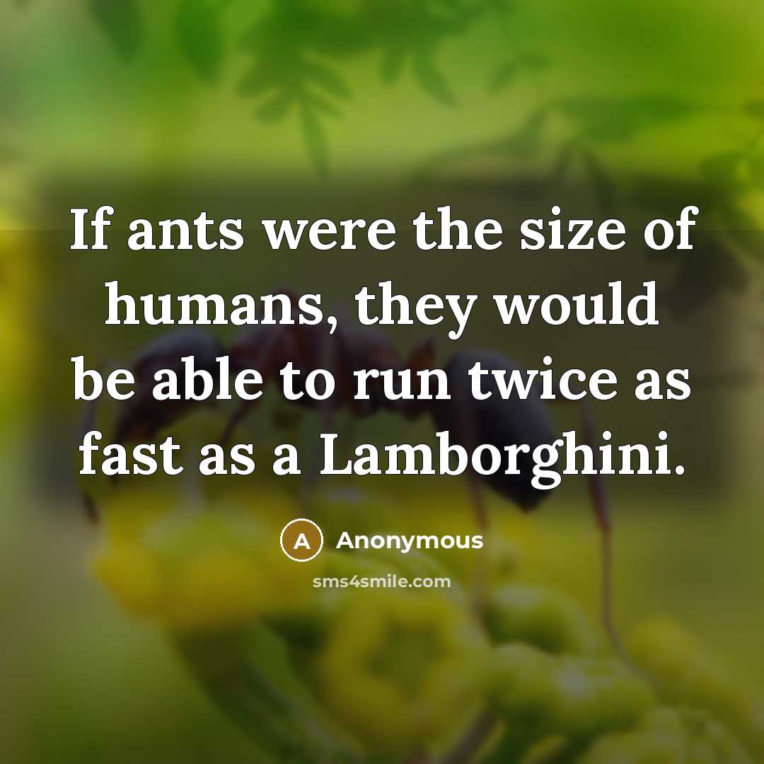 “If ants were the size of humans, they would be…” quote by Anonymous