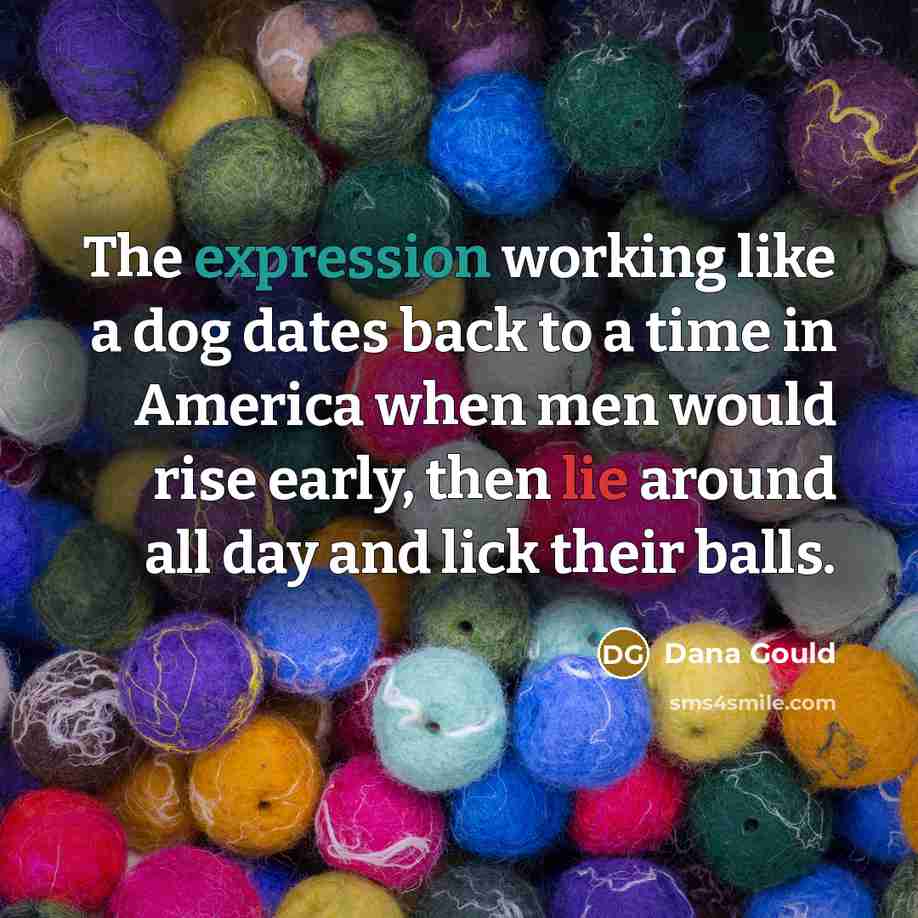 “The expression working like a dog dates back to a…” quote by Dana Gould