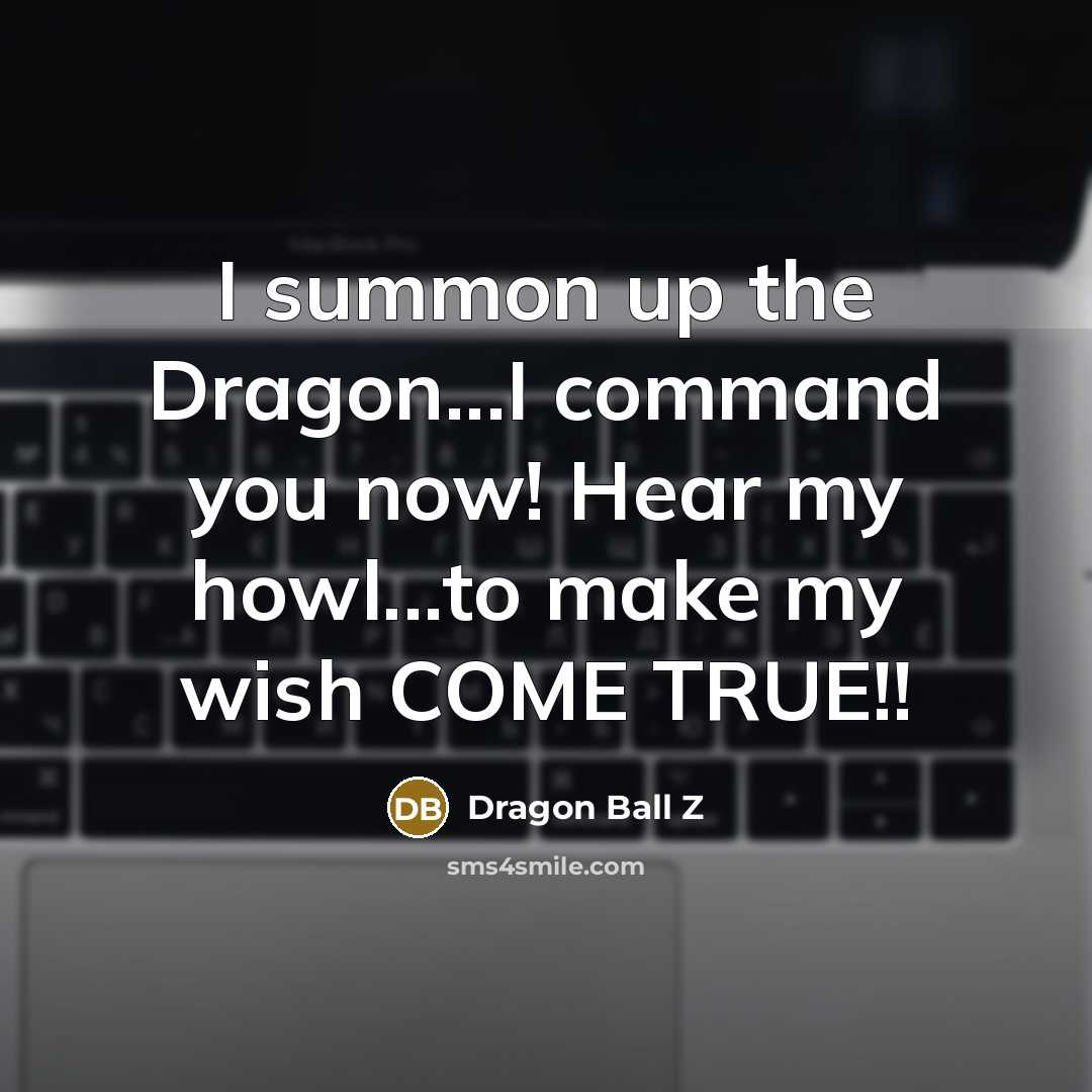 “I summon up the Dragon...I command you now! Hear my…” quote by Dragon Ball Z