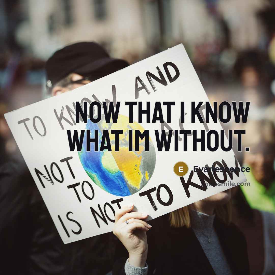“Now that I know what Im without.…” quote by Evanescence