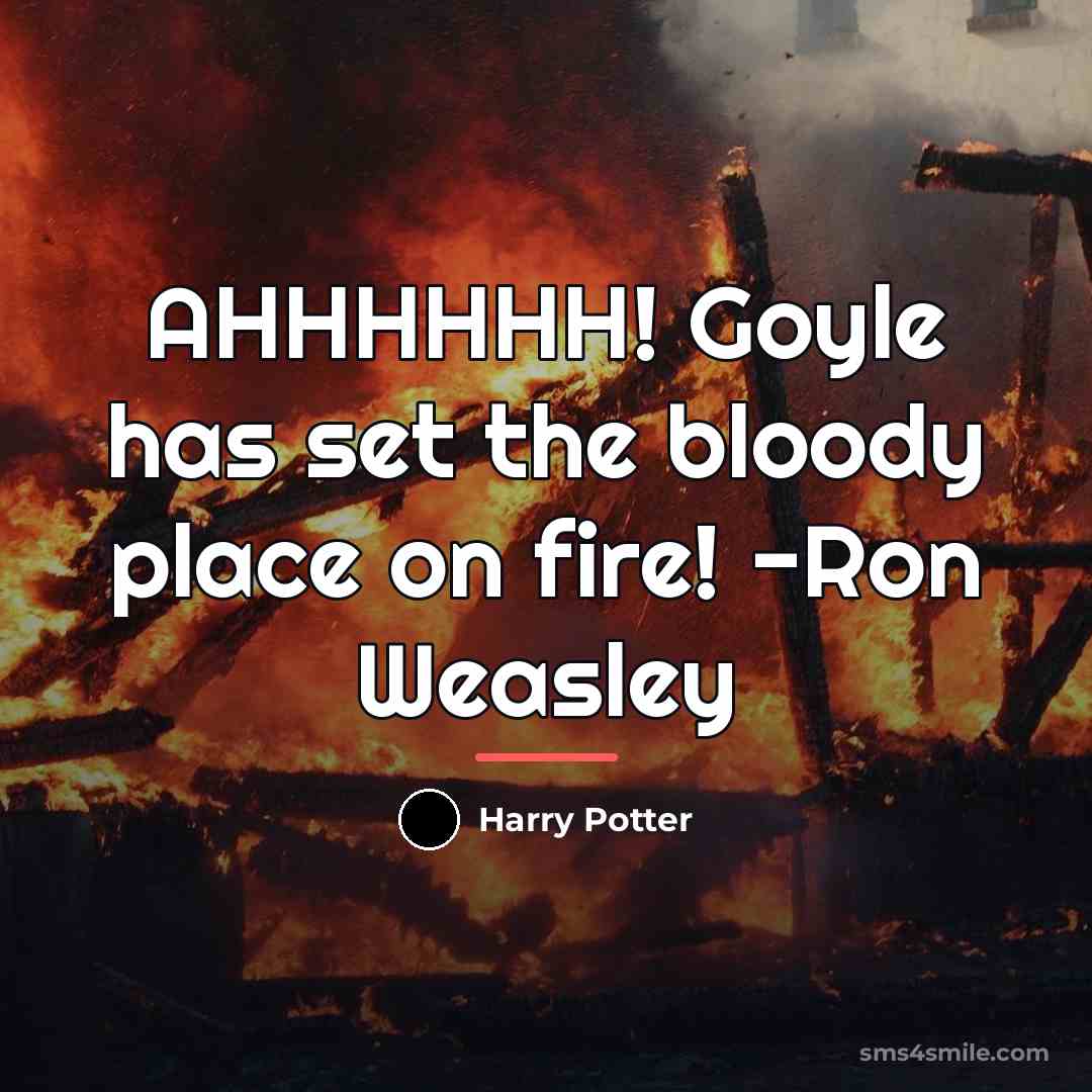 “AHHHHHH! Goyle has set the bloody place on fire! -Ron…” quote by Harry Potter