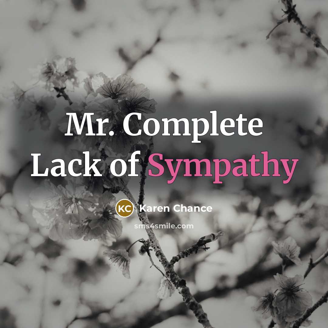 “Mr. Complete Lack of Sympathy…” quote by Karen Chance