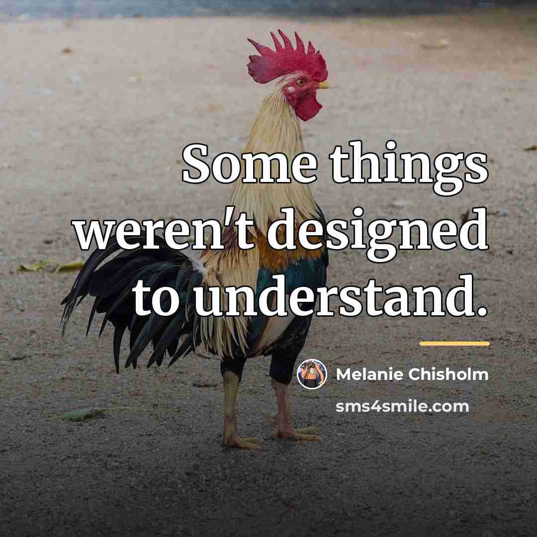 “Some things weren't designed to understand.…” quote by Melanie Chisholm