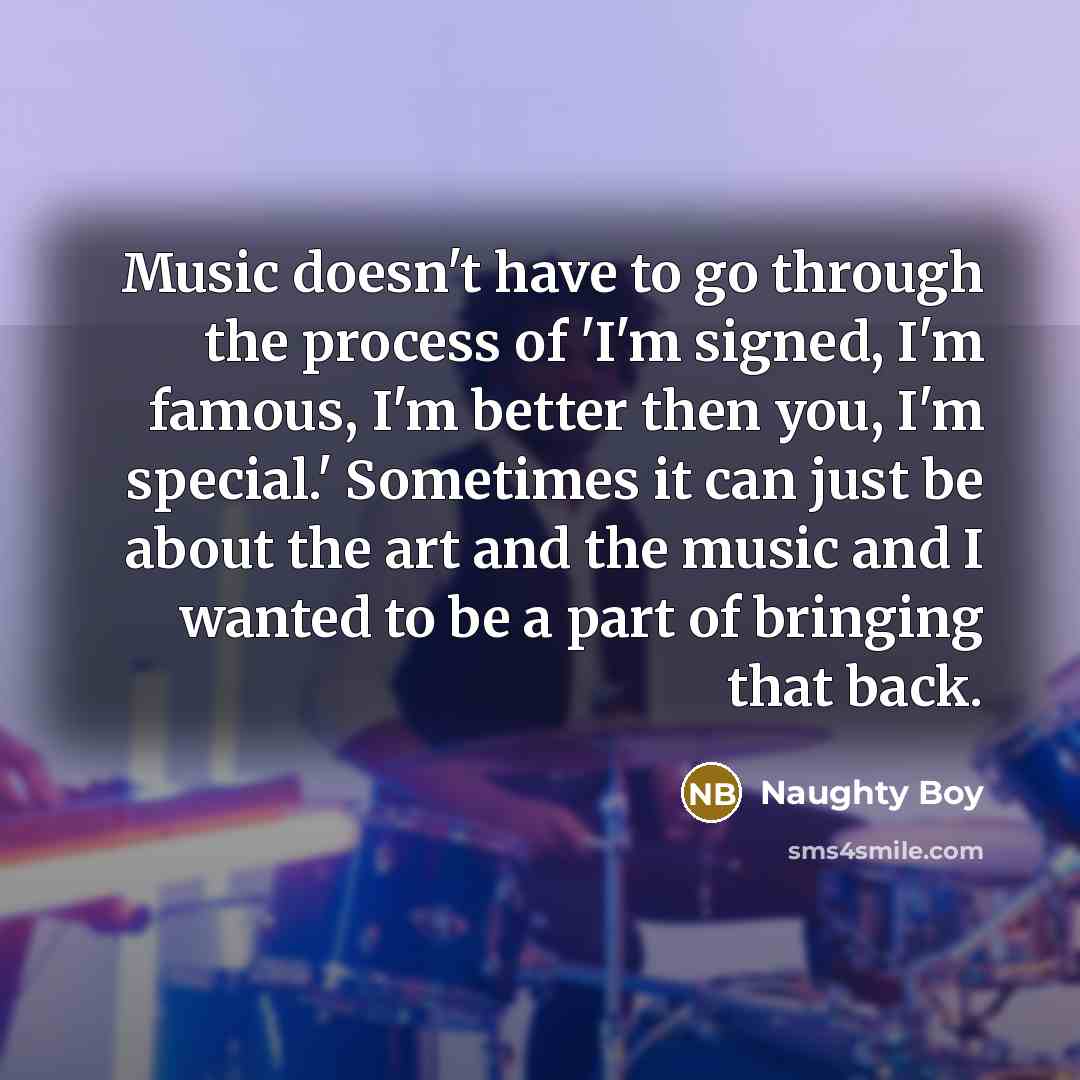 “Music doesn't have to go through the process of 'I'm…” quote by Naughty Boy