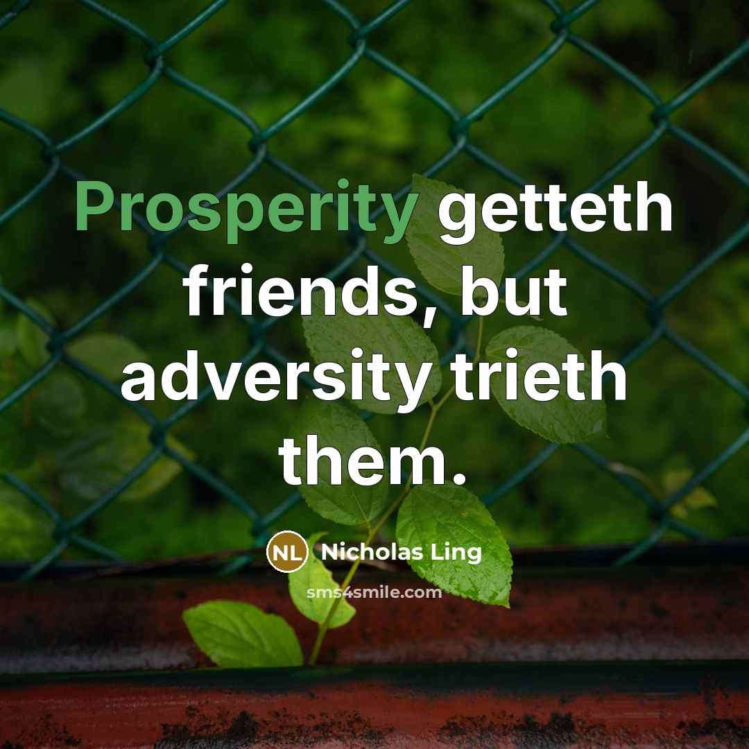 “Prosperity getteth friends, but adversity trieth them.…” quote by Nicholas Ling
