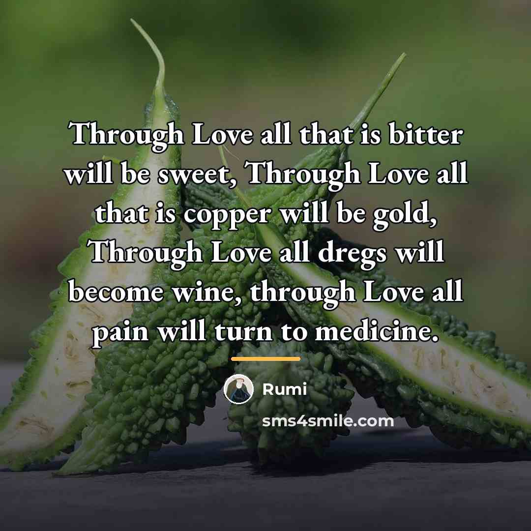“Through Love all that is bitter will be sweet, Through…” quote by Rumi