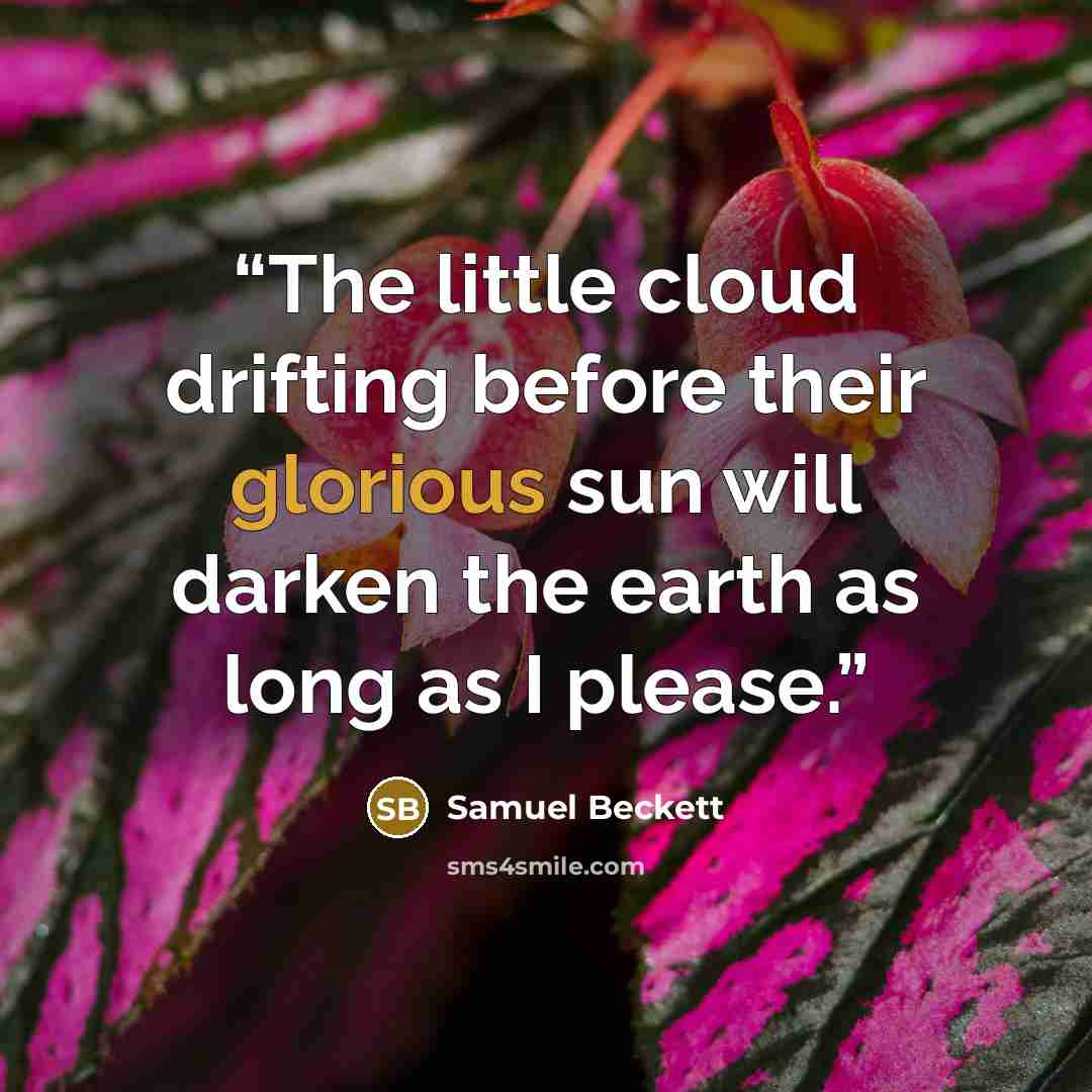 “The little cloud drifting before their glorious sun will darken the earth as long as I please.” quote by Samuel Beckett