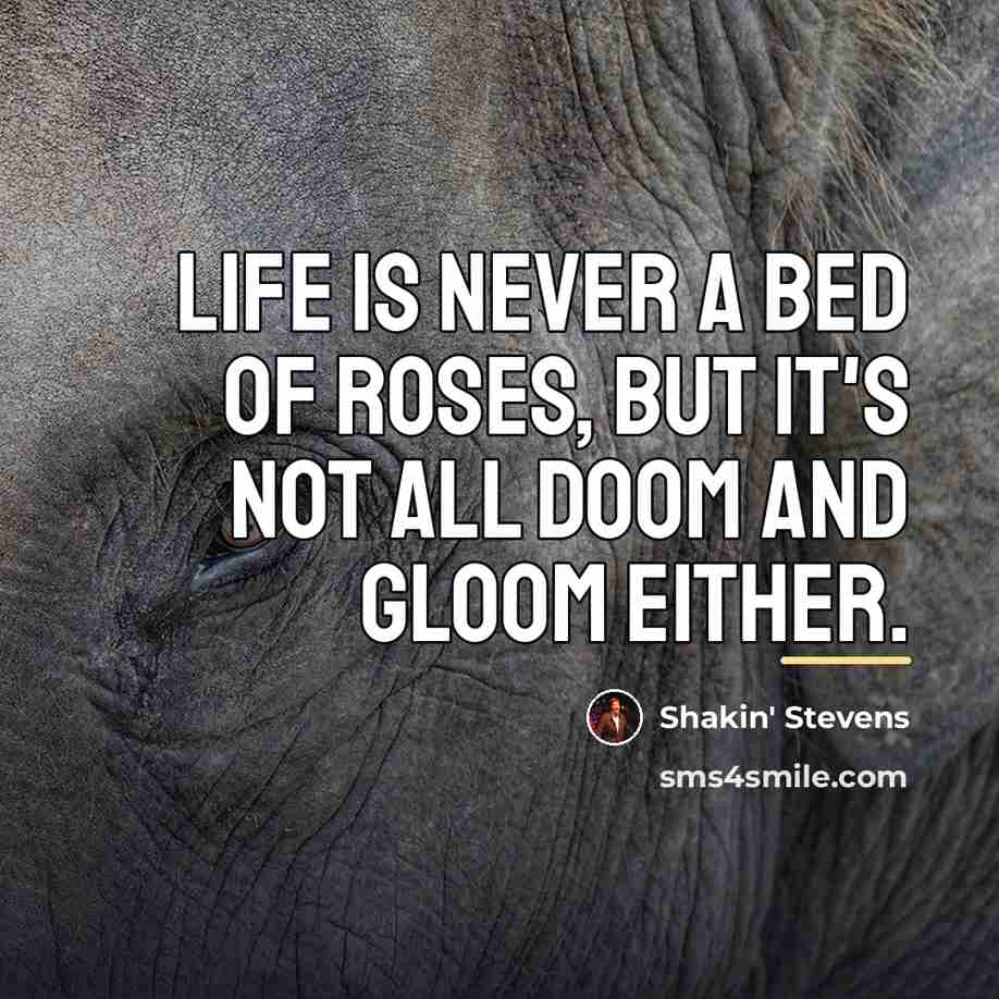 “Life is never a bed of roses, but it's not…” quote by Shakin' Stevens