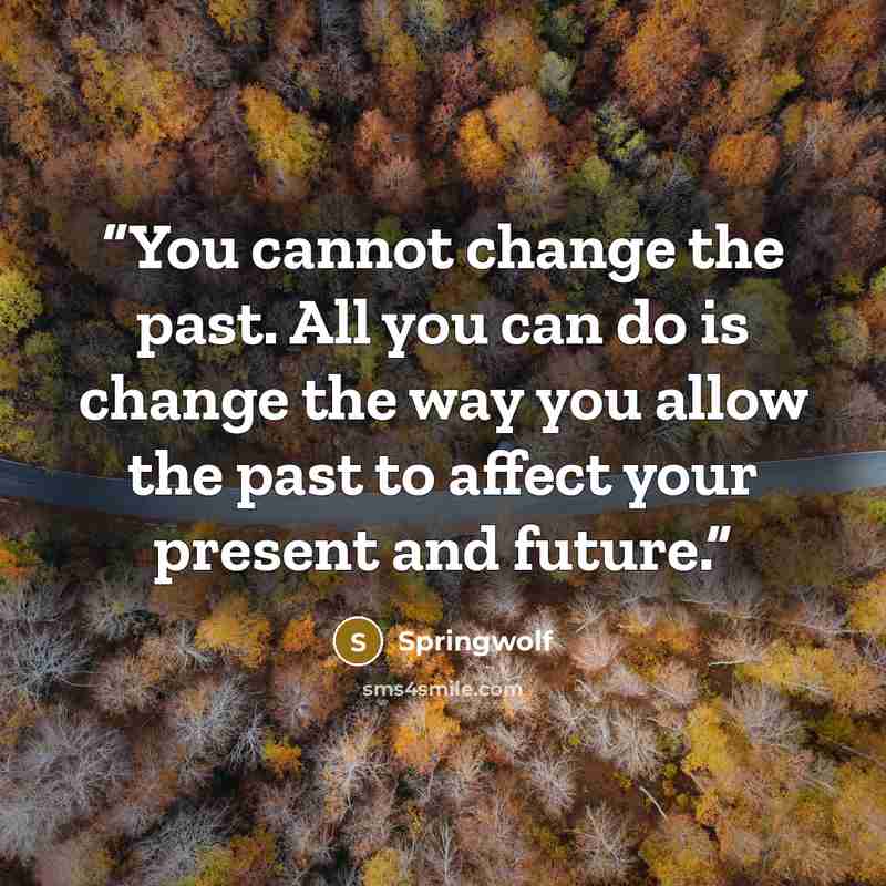 “You cannot change the past. All you can do is change the way you allow the past to affect your present and future.” quote by Springwolf