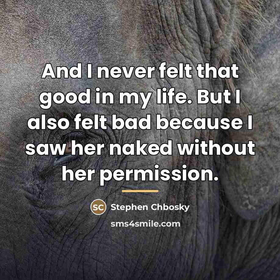 “And I never felt that good in my life. But…” quote by Stephen Chbosky